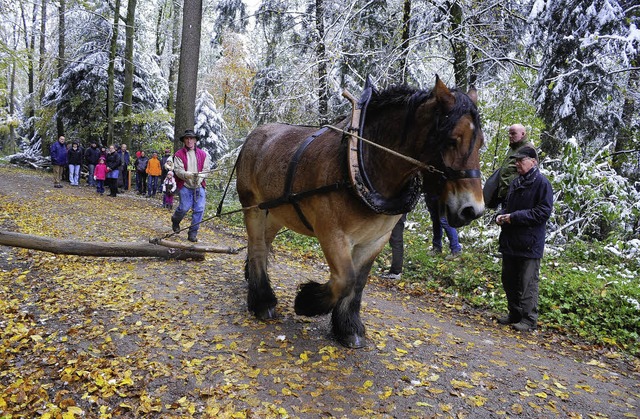 Wie Holzrcken funktioniert, zeigte  F...8220; beim Aktionstag des Waldhauses.   | Foto: thomas kunz