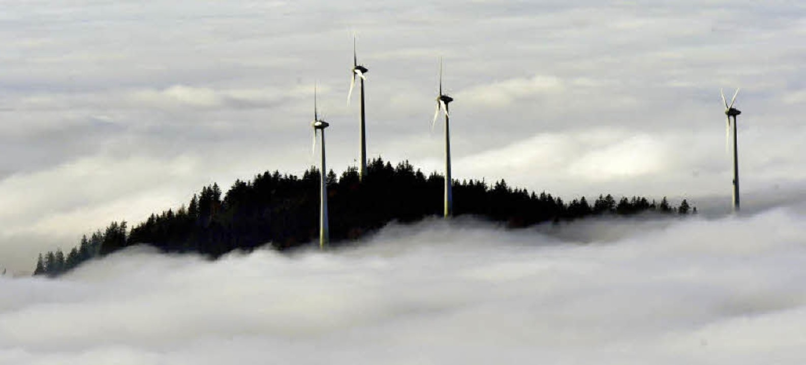 Windkraft hat auch in Baden-Württember...rspektive. Das war Thema bei der SPD.   | Foto: dpa