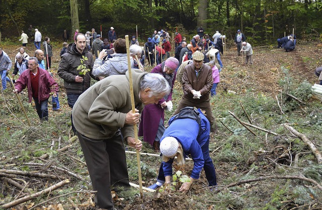 Kunden der Stadtwerke Mlheim-Staufen ...ls Baumpaten Eichen auf der Schwrze.   | Foto: Sigrid Umiger