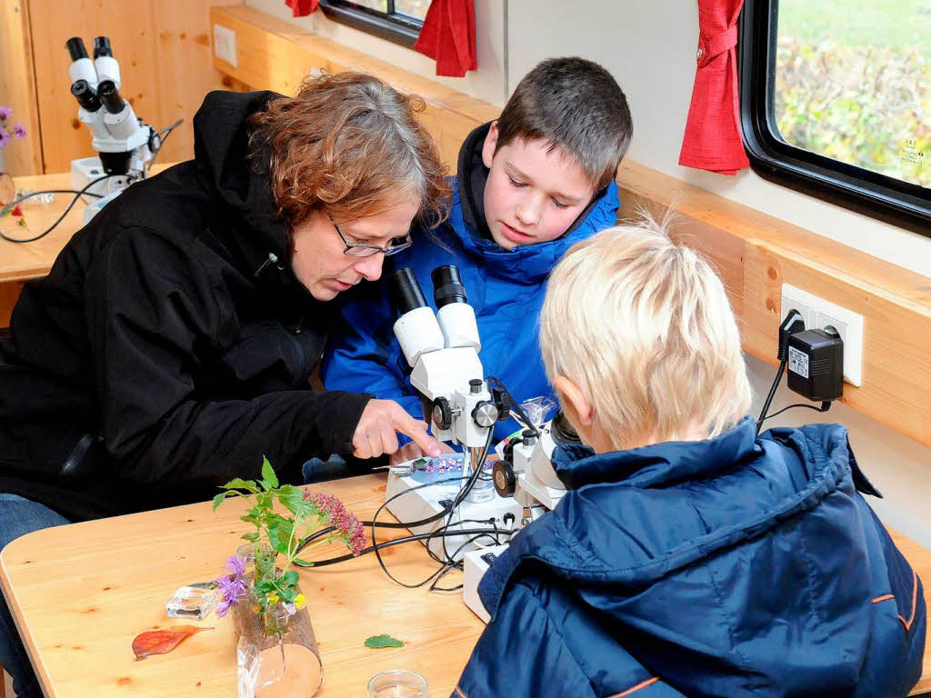 Junge Hobbyforscher an Mikroskopen beim Polderfest in Altenheim