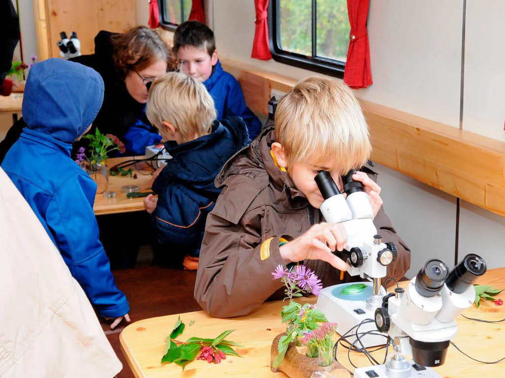 Junge Hobbyforscher an Mikroskopen beim Polderfest in Altenheim
