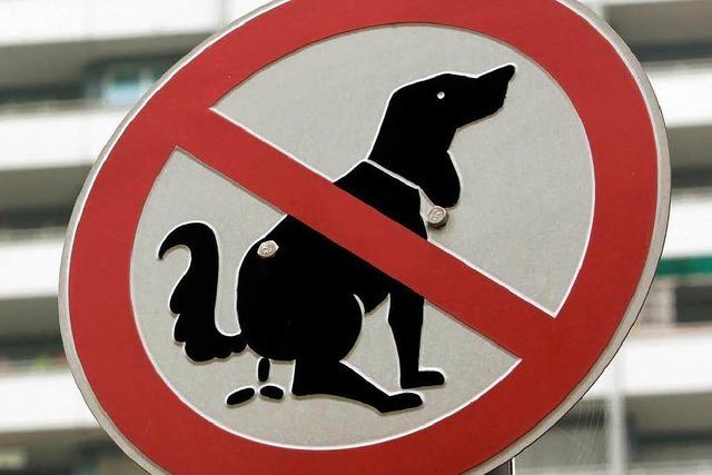 Kampf gegen Hundekot: Tierbesitzern drohen Bugelder