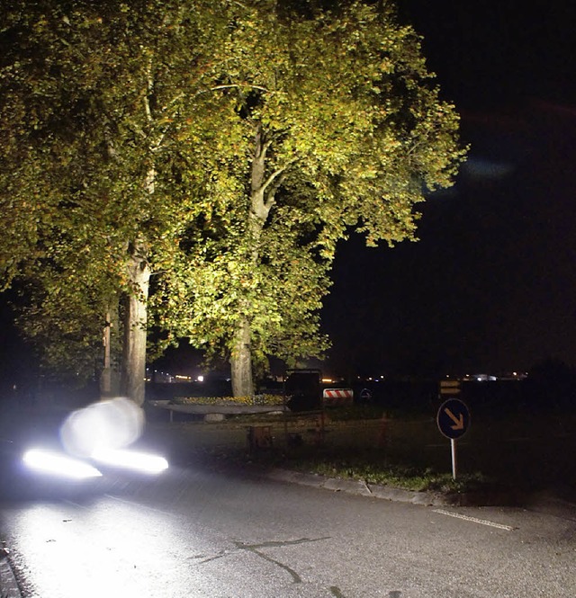 Test: Eine Beleuchtung knnte die Verkehrssicherheit am Kreisel erhhen.  | Foto: Ilona Hge