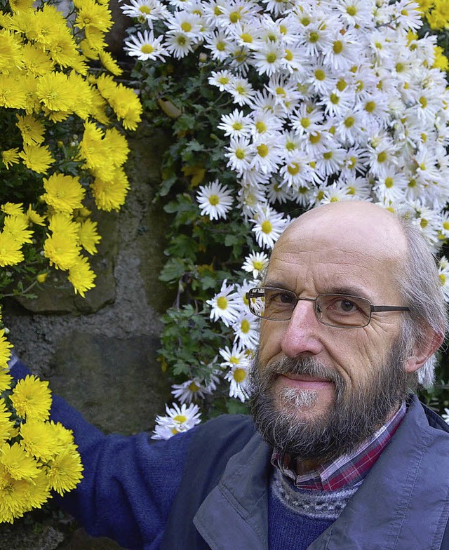 Hat viel mit Chrysanthemen zu tun: Ulrich Suchalla.   | Foto: Michael  Gilg