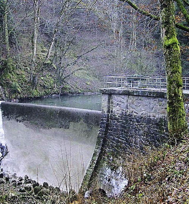 Das Kraftwerk Khlgartenwiese produziert sauberen Strom  mittels Wasserkraft   | Foto: Kanmacher