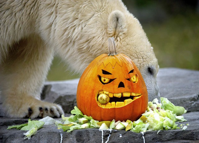 Halloween macht auch vor vielen Zoos n... anderen Leckereien gefllten Krbis.   | Foto: dpa