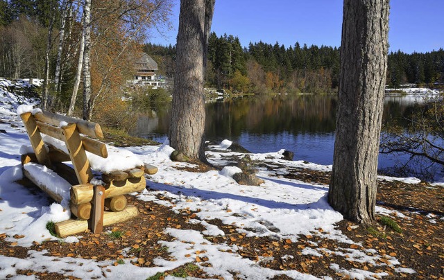 Eine Liegewiese soll am Windgfllweiher angelegt werden  | Foto: ralf Morys