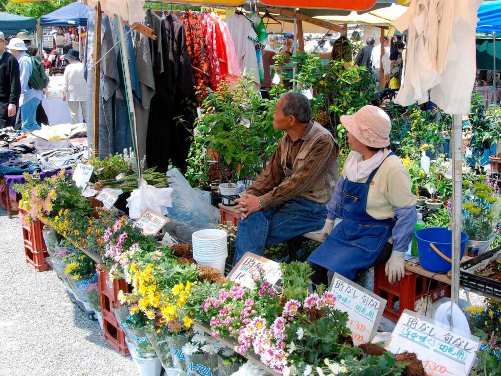 Im Jahr 2008  hat Sabine Kollmer  aus Lahr mit  ihren  Mann und  der  Tochter  Japan besucht  und dabei diesen Chrysanthemen-Verkaufsstand  auf einem Markt  fotografiert.