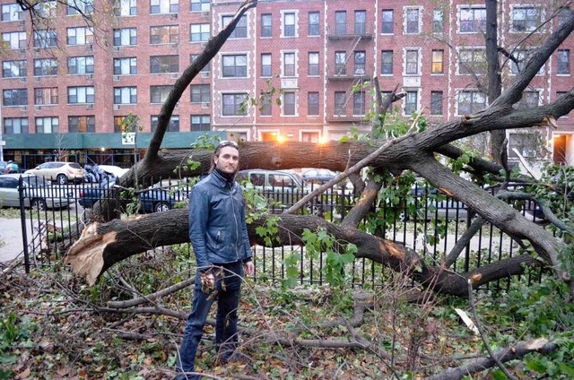 Joe Hertenstein im Prospekt Park in Ne...rikan Sandy ber die Stadt gezogen war  | Foto: Daisy Payero