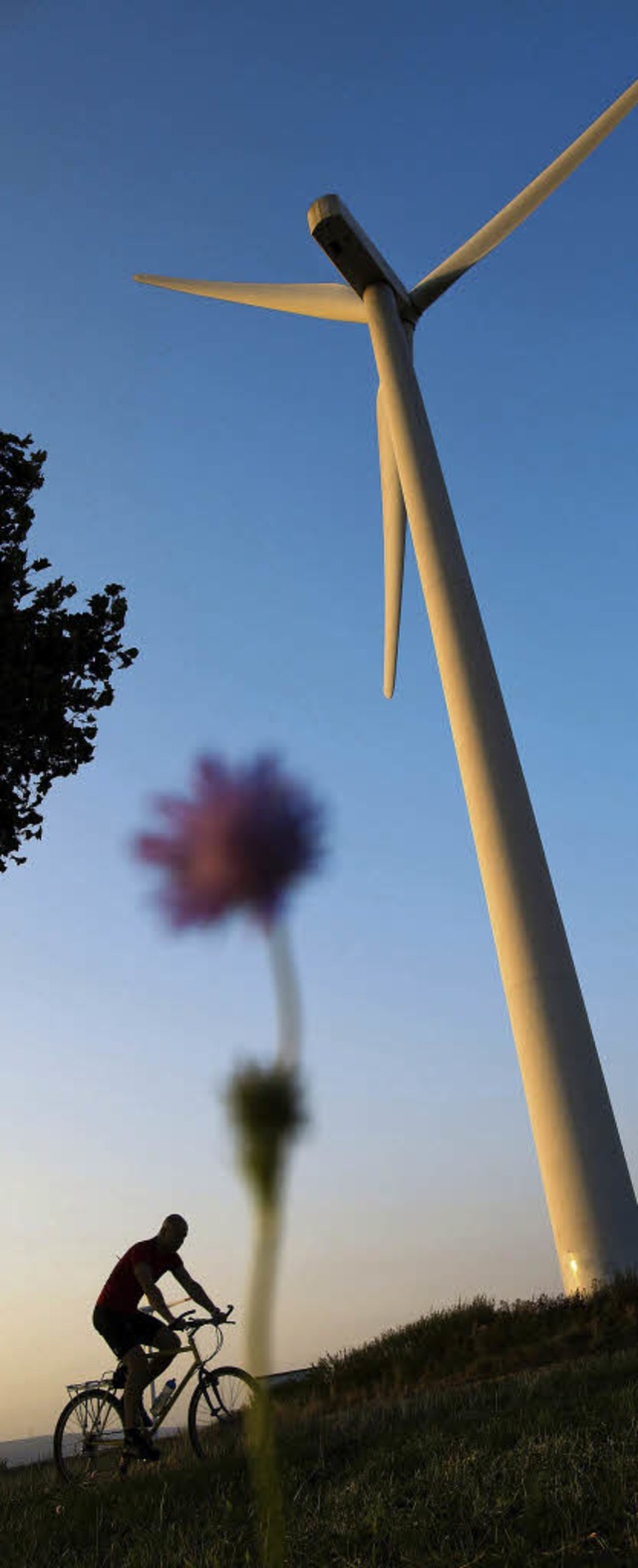 Ohne mehr Windkraft ist die Energiewen...h  in Gundelfingen nicht zu schaffen.   | Foto: dpa