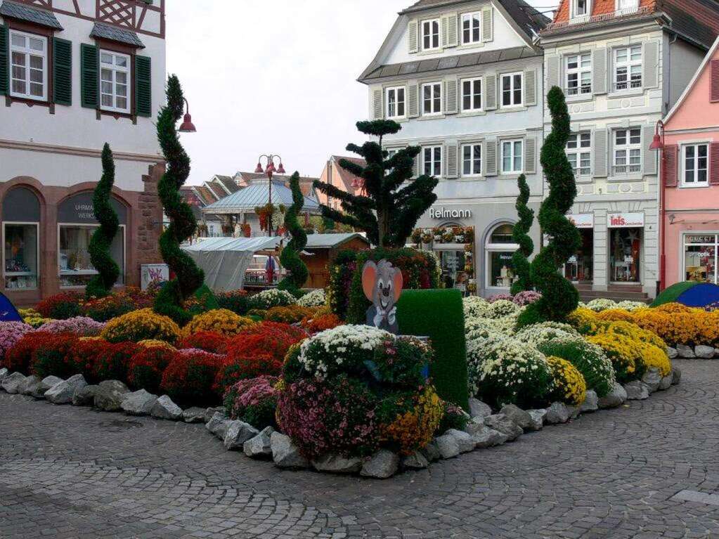 Besucherinnen und Besucher fotografieren die Chrysanthema in Lahr.