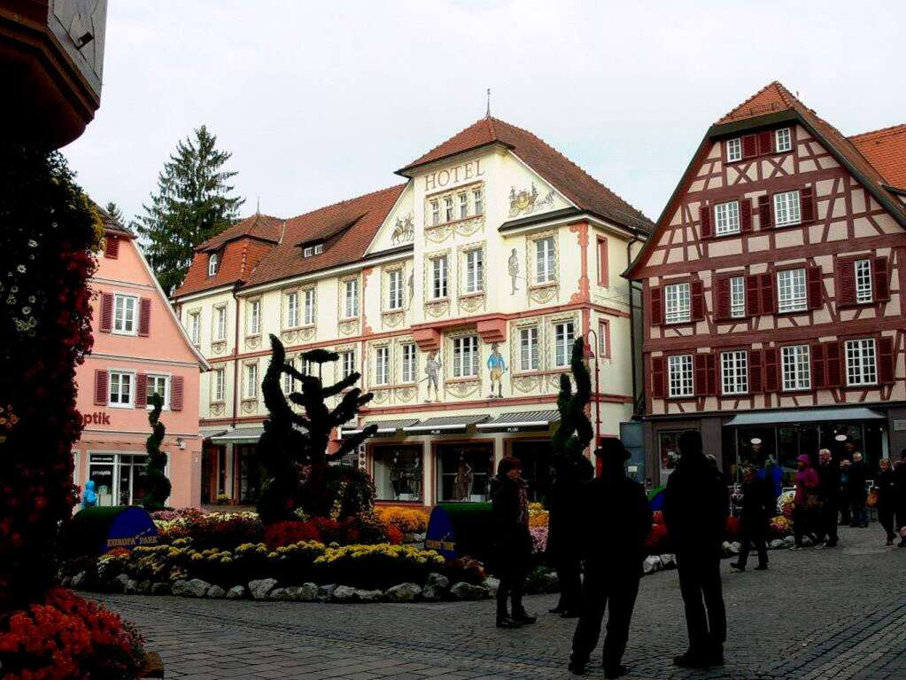 Besucherinnen und Besucher fotografieren die Chrysanthema in Lahr.