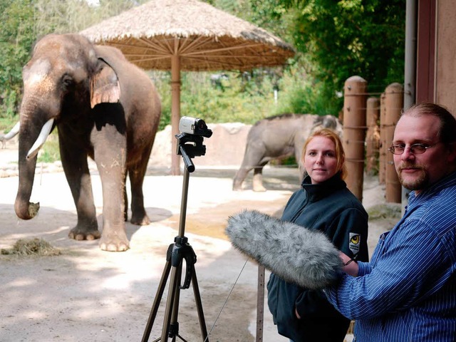 Die Journalisten wurden vom Elefanten mit Worten begrt. 