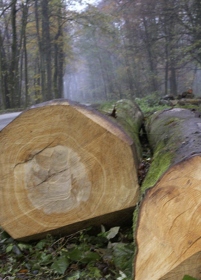 Der Holzerls wird fr  Vrstetten gering sein.   | Foto: Frank Kiefer