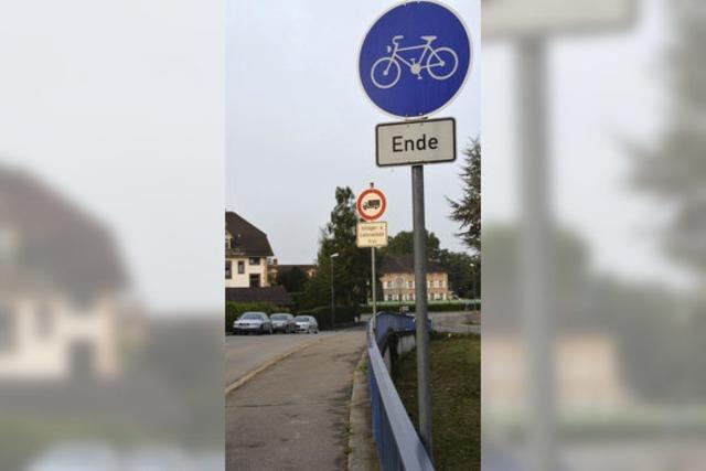 Die Grnen wollen dem Rad zur Vorfahrt verhelfen