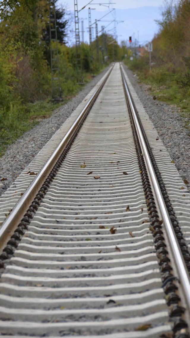Wie viel Lrm bringen diese Gleise den Brgern?   | Foto: Babeck-Reinsch