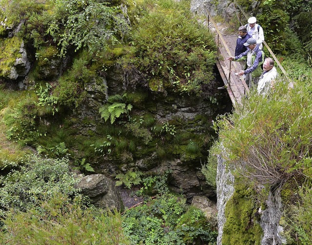 Geologischer und bergbaugeschichtlicher Wanderweg Badenweiler Sehringen  | Foto: Anita Fertl