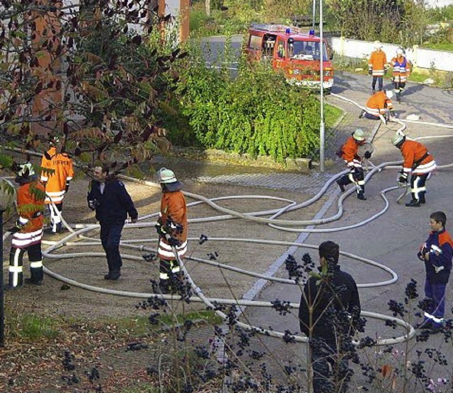 Gemeinsam bten die Wehren Holzen und Mappach.   | Foto: privat