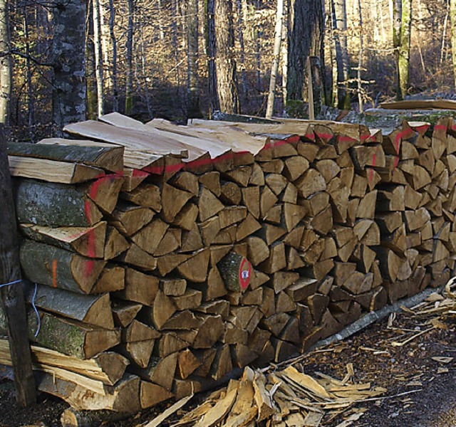 Fr die Holzversteigerung wird der Frster  110 Ster Buchenholz bereitstellen.   | Foto: Schleer