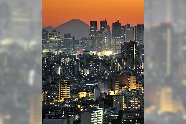 Wissenschaftler warnen vor heftigen Erdbeben in Japan