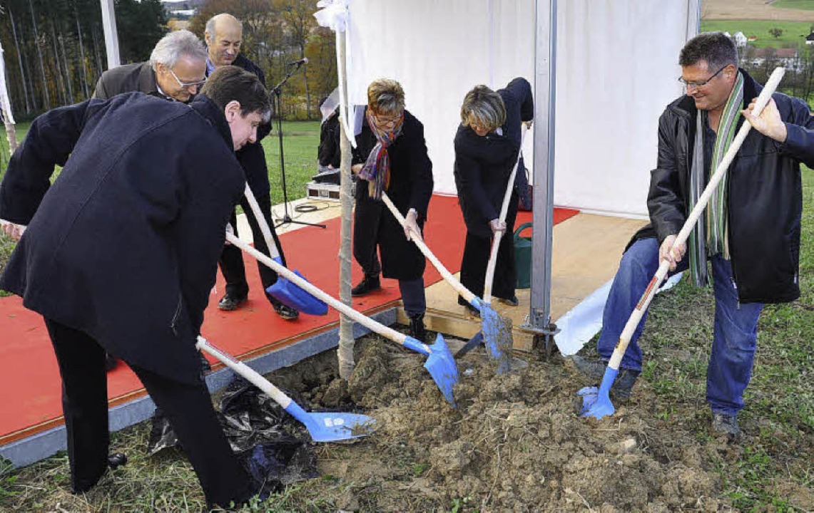 Statt Deponie wieder Wald und Wiese SaintLouis Badische Zeitung