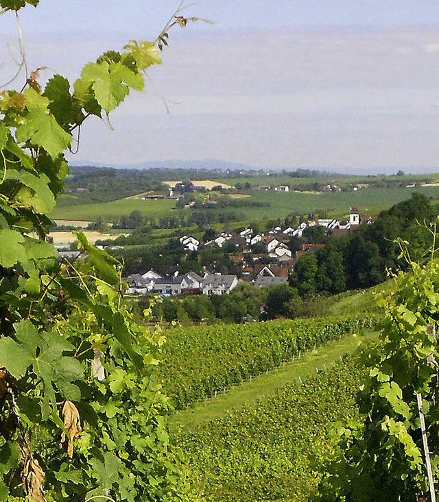 Fischingen gibt viel Geld aus fr schnelleres Internet.  | Foto: Langelott