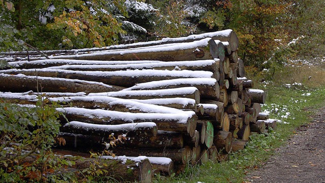 Eingeschlagenes Holz am Hertener Schwanderskreuzweg mit einer dnnen Schneedecke  | Foto: Heinz Vollmar