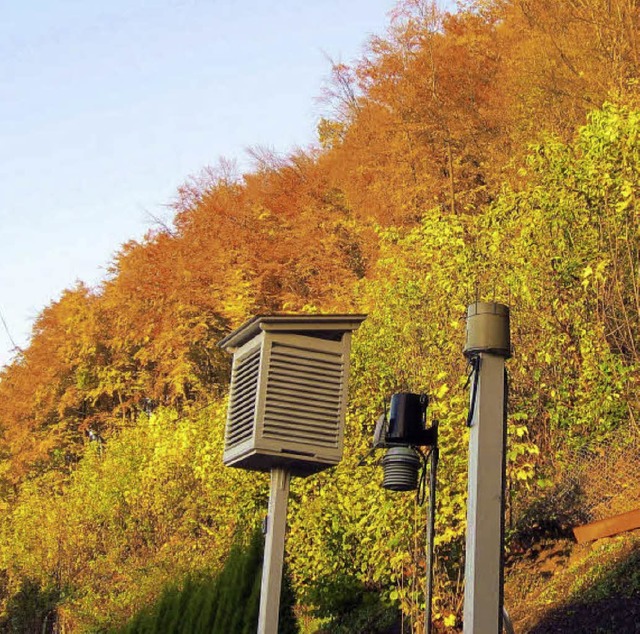 Bei der Wetterstation Schulstrae konn...nat dieser herrlichen Farben erfreuen.  | Foto: Helmut Kohler