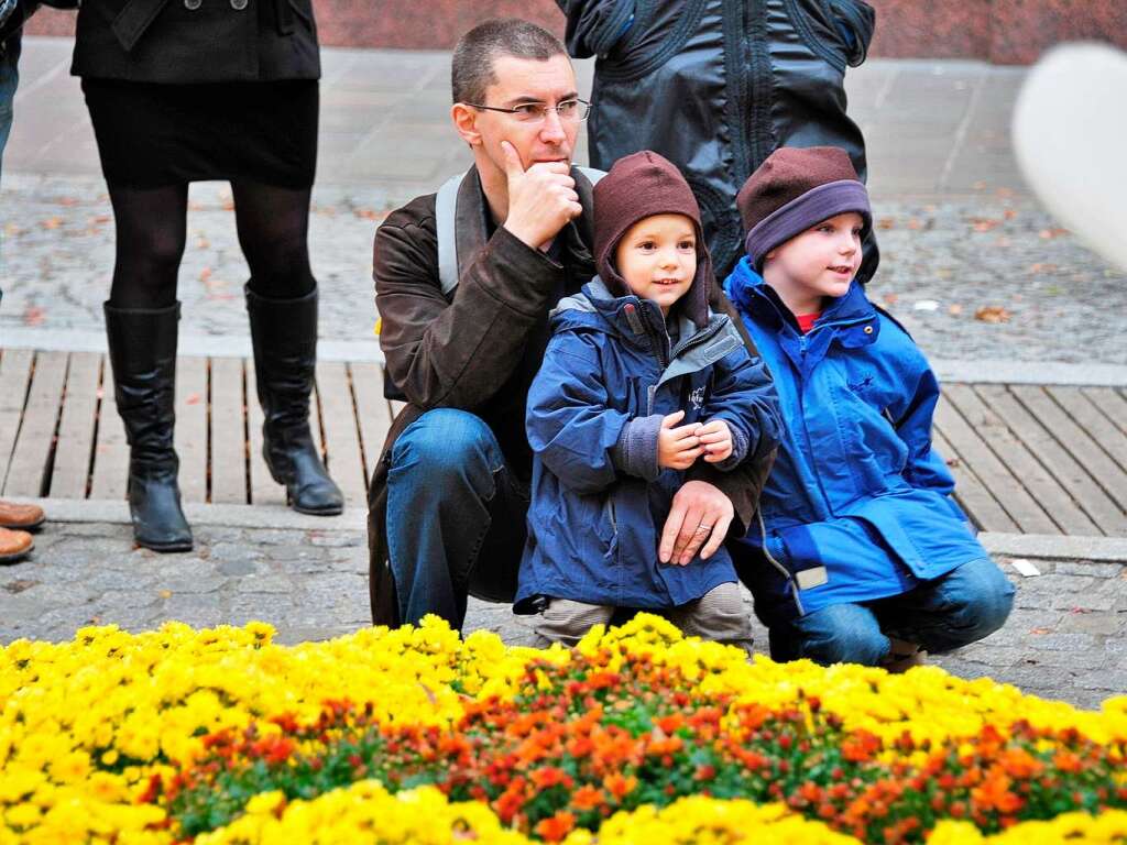 Besucherinnen und Besucher fotografieren die Chrysanthema in Lahr.