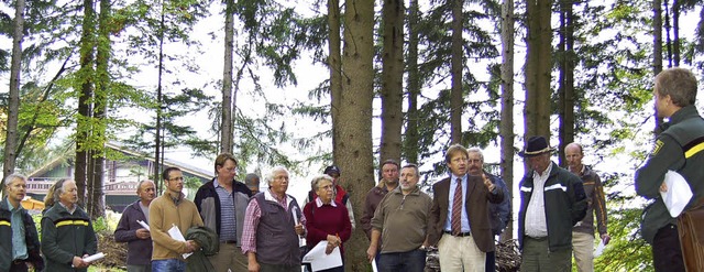 Ergebnis 2011: Der Wald brachte Todtnau  658000 Euro Gewinn   | Foto: Jger