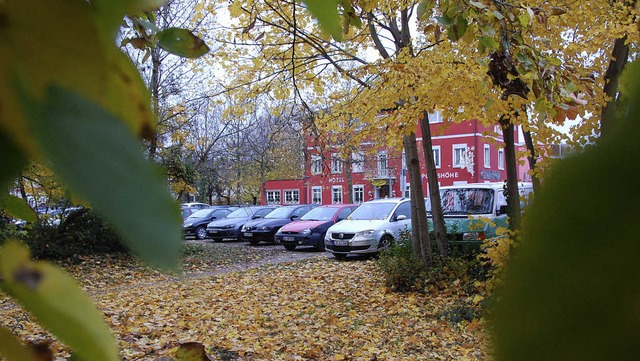 Parkpltze im Herbstwald &#8211; das s...ngkante nicht mehr allzu lange geben.   | Foto: Lauber