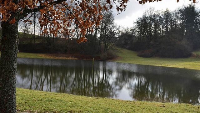 Der Eichener See bei Schopfheim ist ei...&#8222;nominiert&#8220; erhalten hat.   | Foto: Andr Hnig