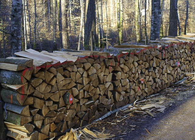 In Brombach soll im kommenden Jahr wen...die guten  Holzpreise genutzt wurden.   | Foto: Schleer