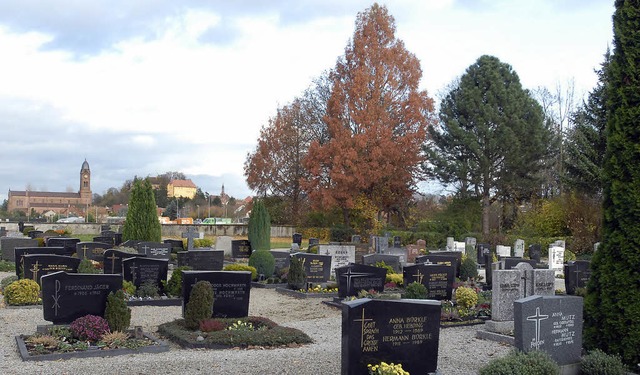 Auf dem Mahlberger Friedhof soll im n...rtnern gepflegtes Grabfeld entstehen.  | Foto: ARCHIV: REIN