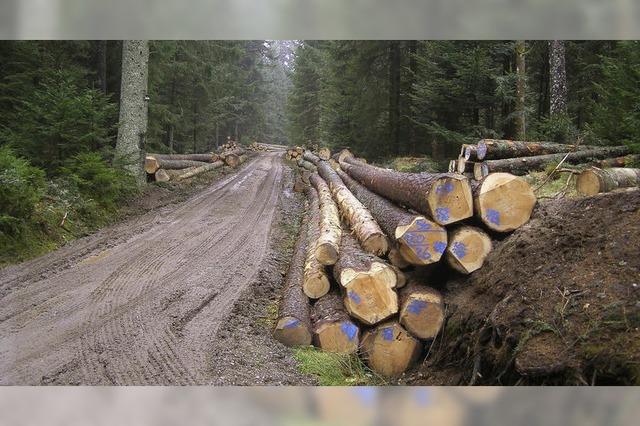 Wald wirft etwas mehr Gewinn ab