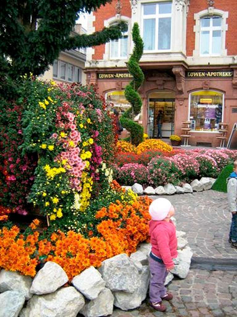 Besucherinnen und Besucher fotografieren die Chrysanthema in Lahr.