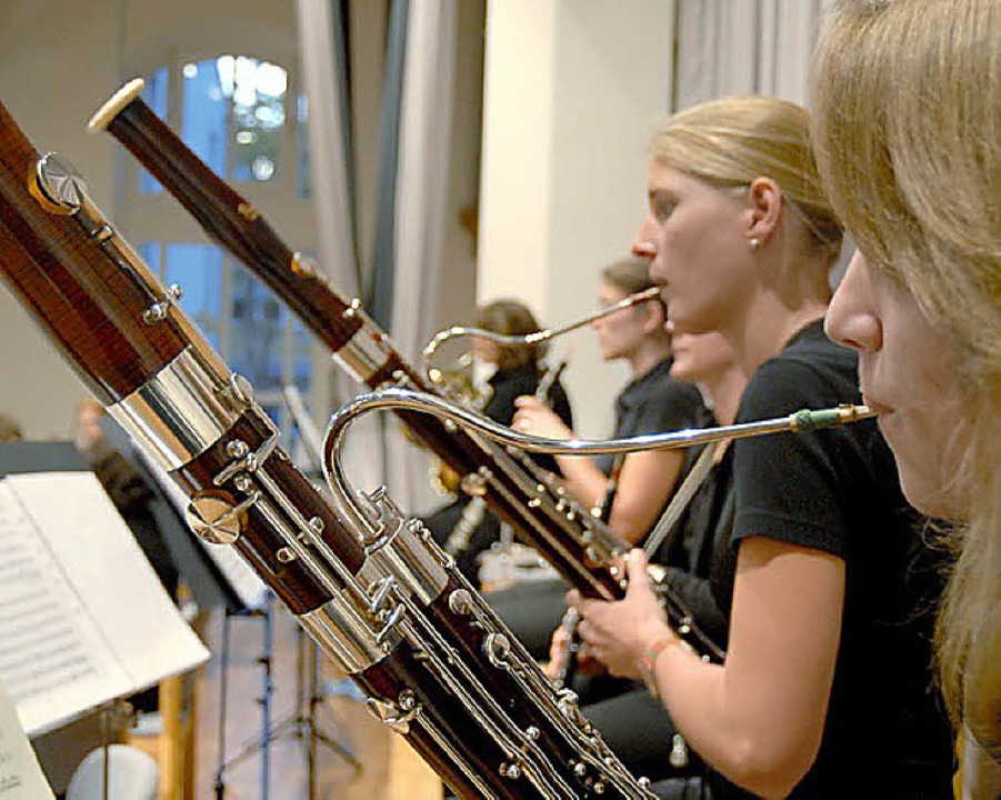 Junge Musiker gesucht: Das SOE will auch Schler gewinnen.  | Foto: Verein