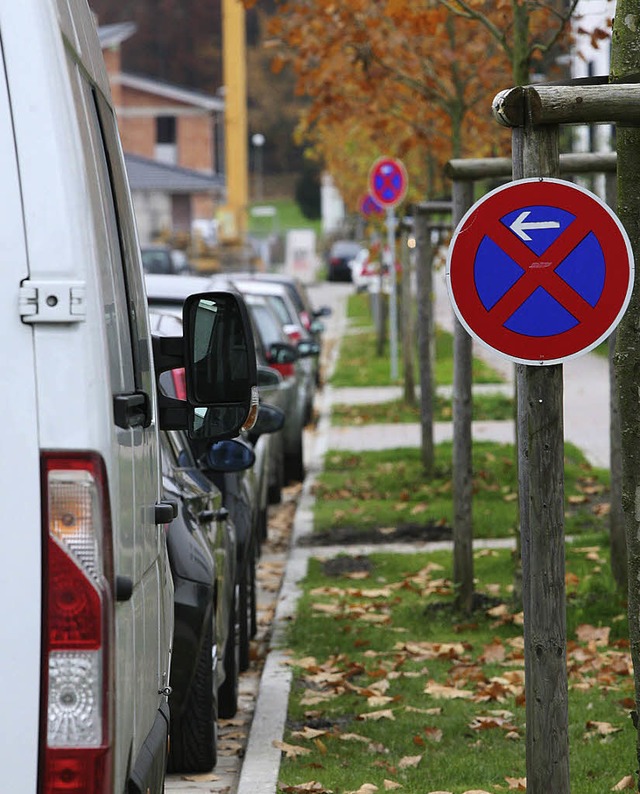 Die Bertha-von-Suttner-Allee kann ein Nadelhr sein.  | Foto: bastian henning