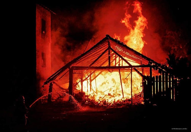 Auch ein Lagerschuppen der Breisacher Narrenzunft fiel den Flammen zum Opfer.  | Foto: Feuerwehr Breisach