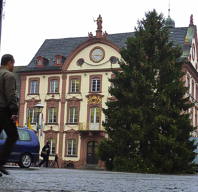 Der neue Weihnachtsbaum kommt aus dem Garten der OB-Sekretrin  | Foto: Helmut Seller