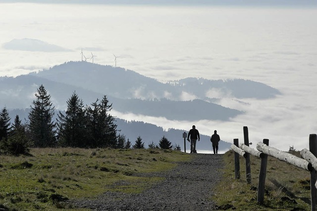 Herbstspaziergang auf dem Kandel  | Foto: Stefan Bauer