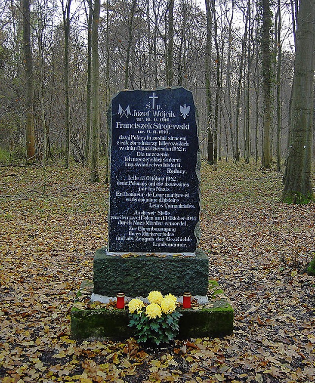 Das Polen-Denkmal im Ichenheimer Wald   | Foto: hagen spth
