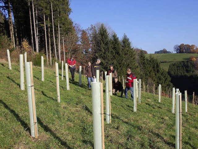 Richtig stolz sind die Forst-und Lands...als erstes Projekt im weiten Umkreis.   | Foto: Elfriede Mosmann