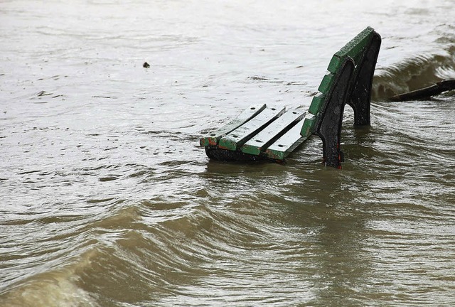 In Auenbereichen ist Hochwasser meist...vor berschwemmungen geschtzt werden.  | Foto: Felix Herbstritt/Silvia Faller