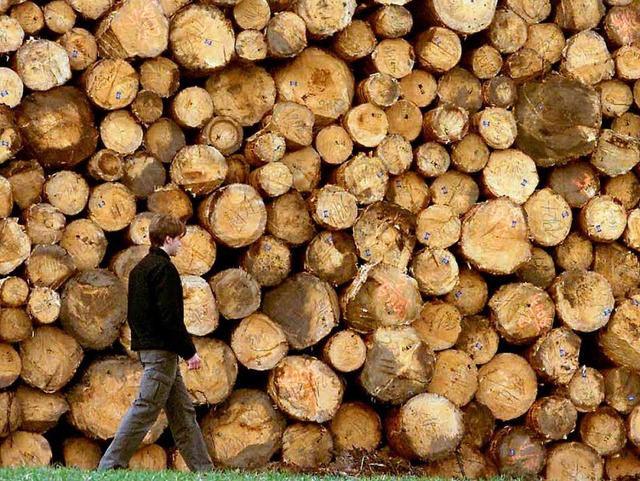 Holz ist knapp, Holz ist teuer &#8211;...ofitieren von den hohen Preisen nicht.  | Foto: dpa