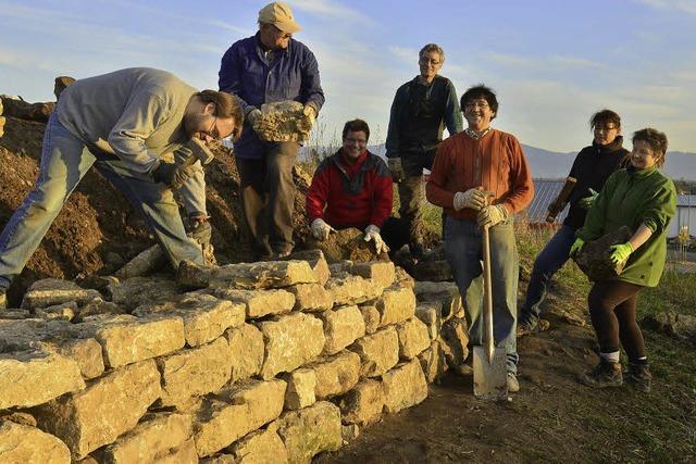 Knochenarbeit am Tafelberg
