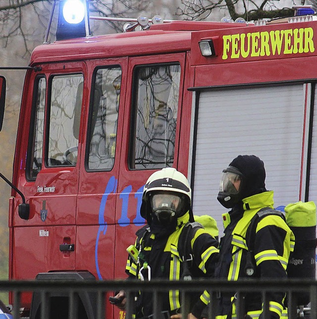 Die Feuerwehr im Einsatz  | Foto: msr
