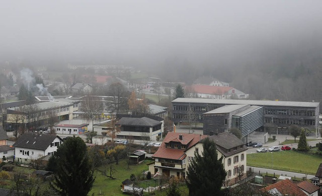 Die Zukunft des Sthlinger Schulzentru...nks) mit der Realschule (rechts) sein.  | Foto: Dietmar Noeske