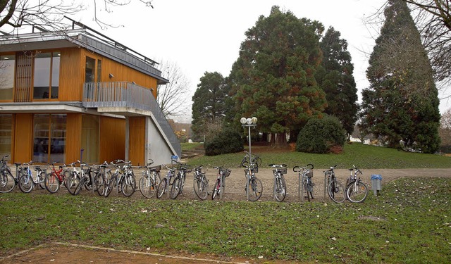 An Stelle der Baumgruppe entsteht eine Mensa an der Emil-Drle-Schule.  | Foto: Michael Haberer