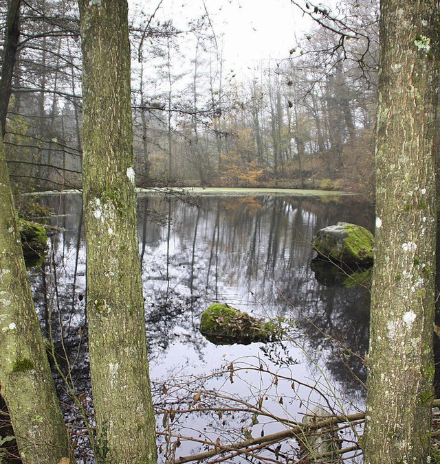 Still und starr ruht der See: Am  Biot...0. Geburtstag anno 2013  einiges tun.   | Foto: Jrn Kerckhoff